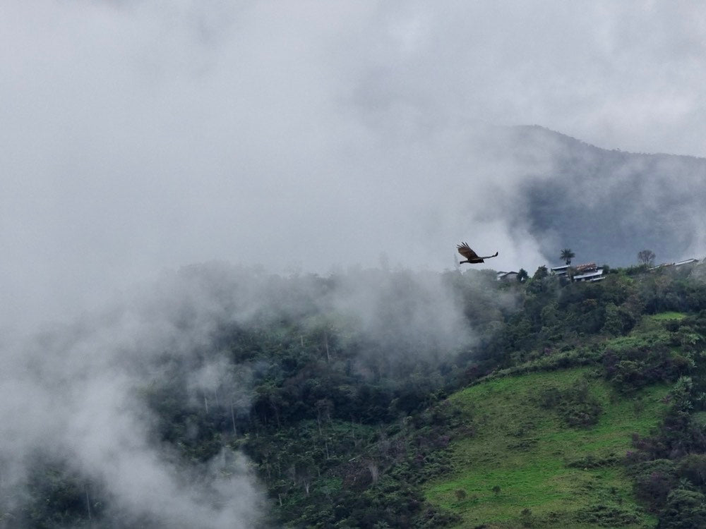 Soaring Into the New Year With Peru El Condor